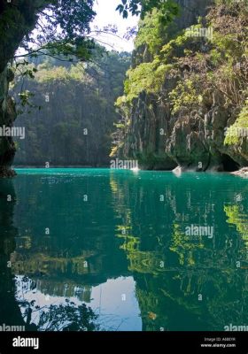  Discovering the Philippine Archipelago: Reflections on Biodiversity and Culture - A Tapestry of Natural Wonders and Cultural Insights