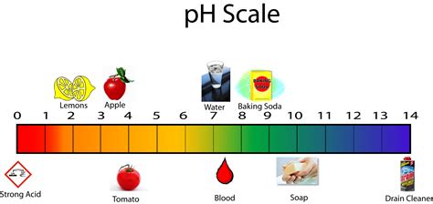 ph 측정기: 왜 우리는 여전히 산과 염기의 춤을 추는가?